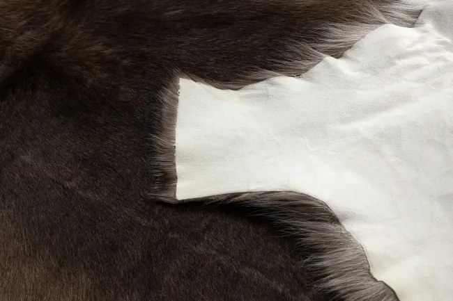 Koberec RENIFER POK010 hnedý