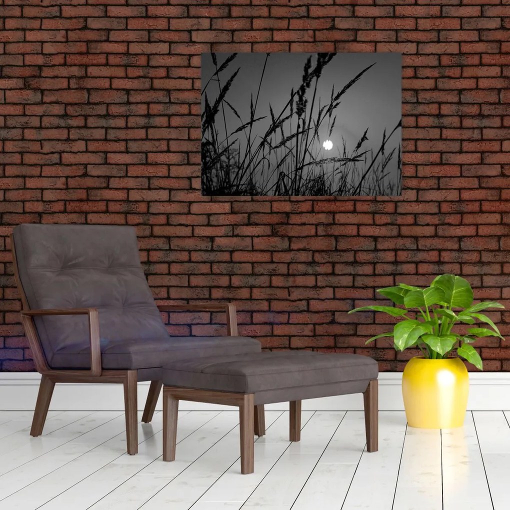 Sklenený obraz - Lúka so západom slnka (70x50 cm)