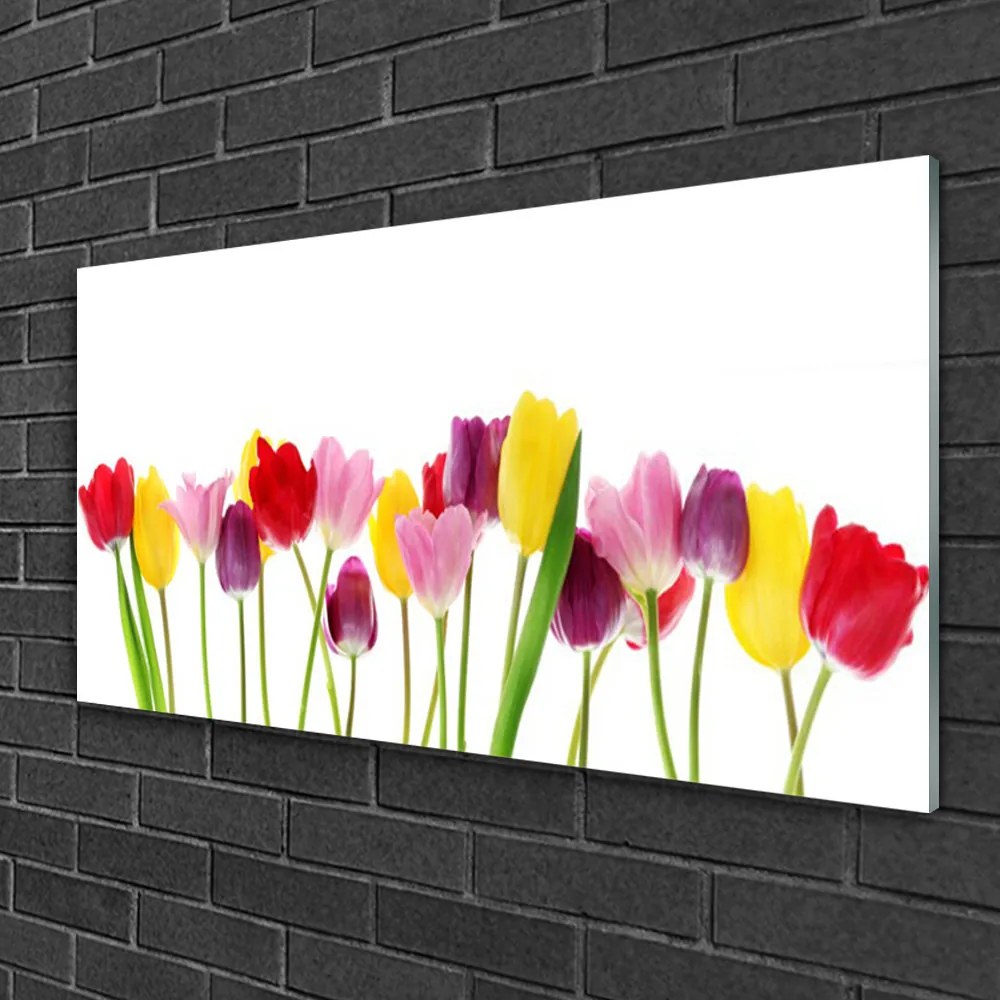 Obraz na skle Tulipány kvety rastlina 100x50 cm 2 Prívesky