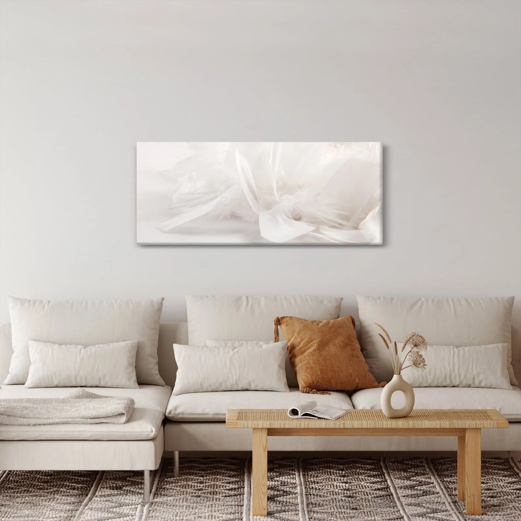 Obraz - Perie (120x50 cm)