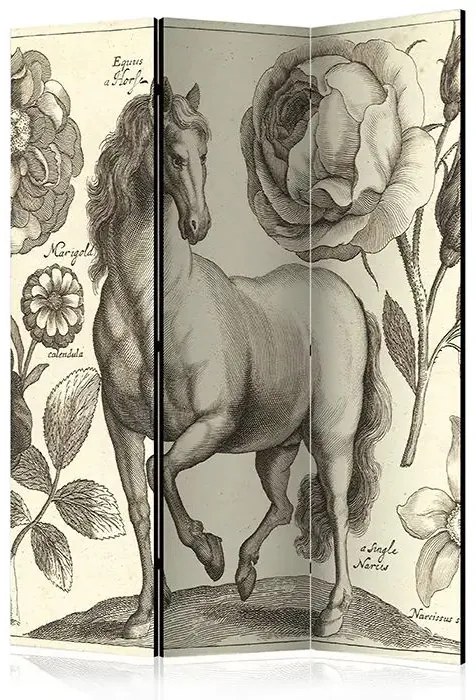 Paraván - Horse [Room Dividers] Veľkosť: 135x172, Verzia: Obojstranný