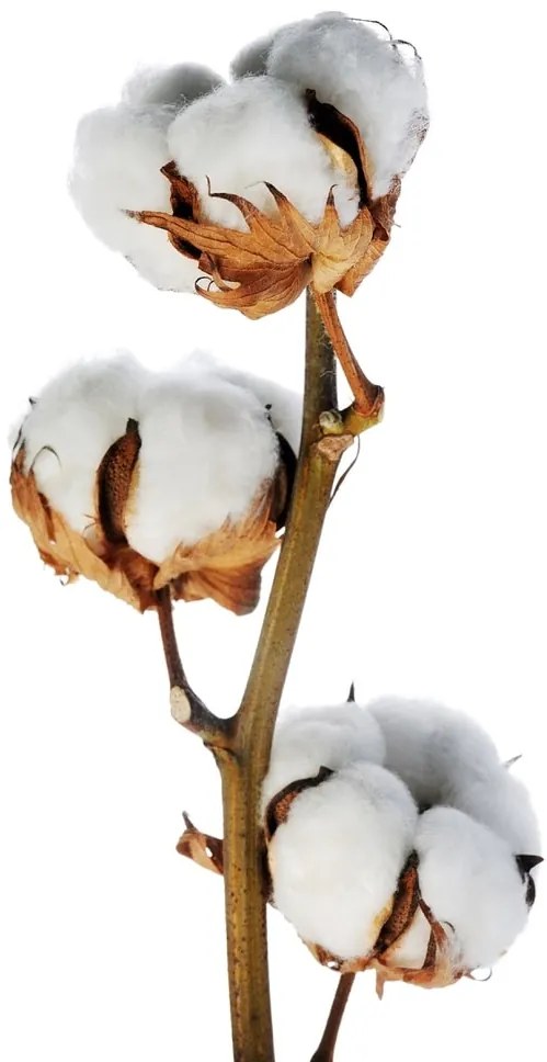 Gipetex Natural Dream 3D talianská obliečka 100% bavlna Pupazo di Neve - Snehuliak - 220x200 / 2x70x90 cm