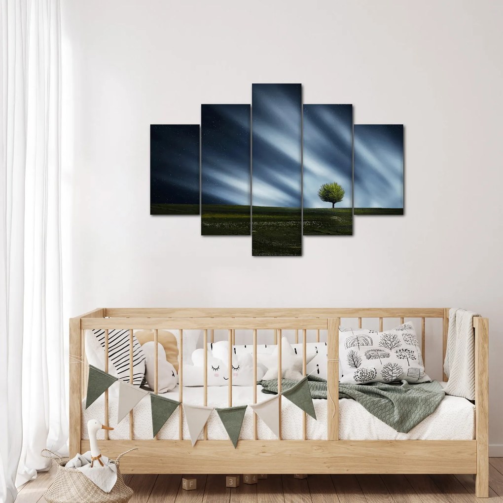 Obraz polárna žiara nad vresoviskom (150x105 cm)
