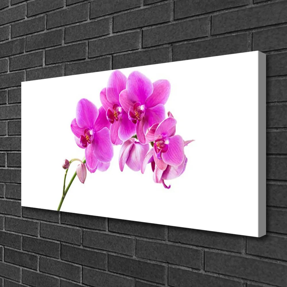 Obraz Canvas Vstavač kvet orchidea 140x70 cm