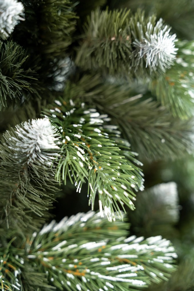 Limpol Vianočný stromček borovica Lamia 150 cm