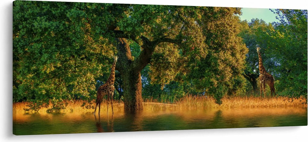 Obraz žirafy v prírode (120x50 cm)