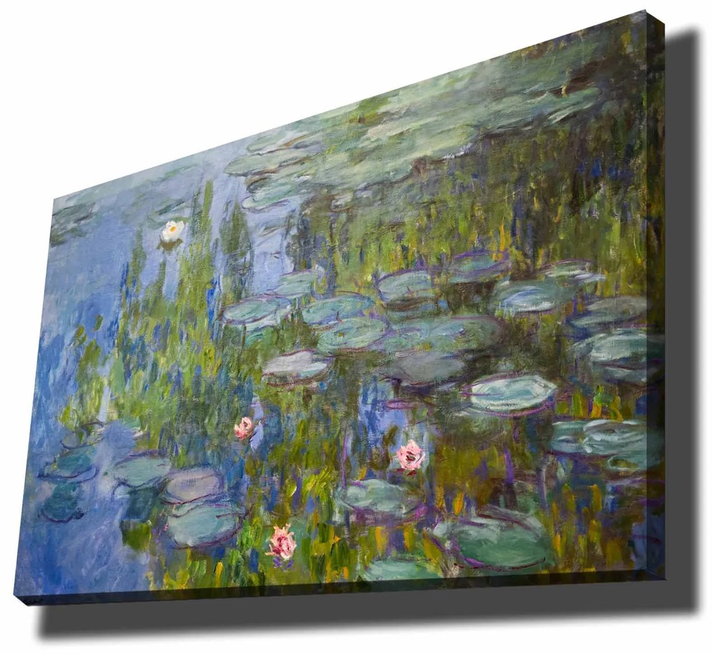 70100MONET016