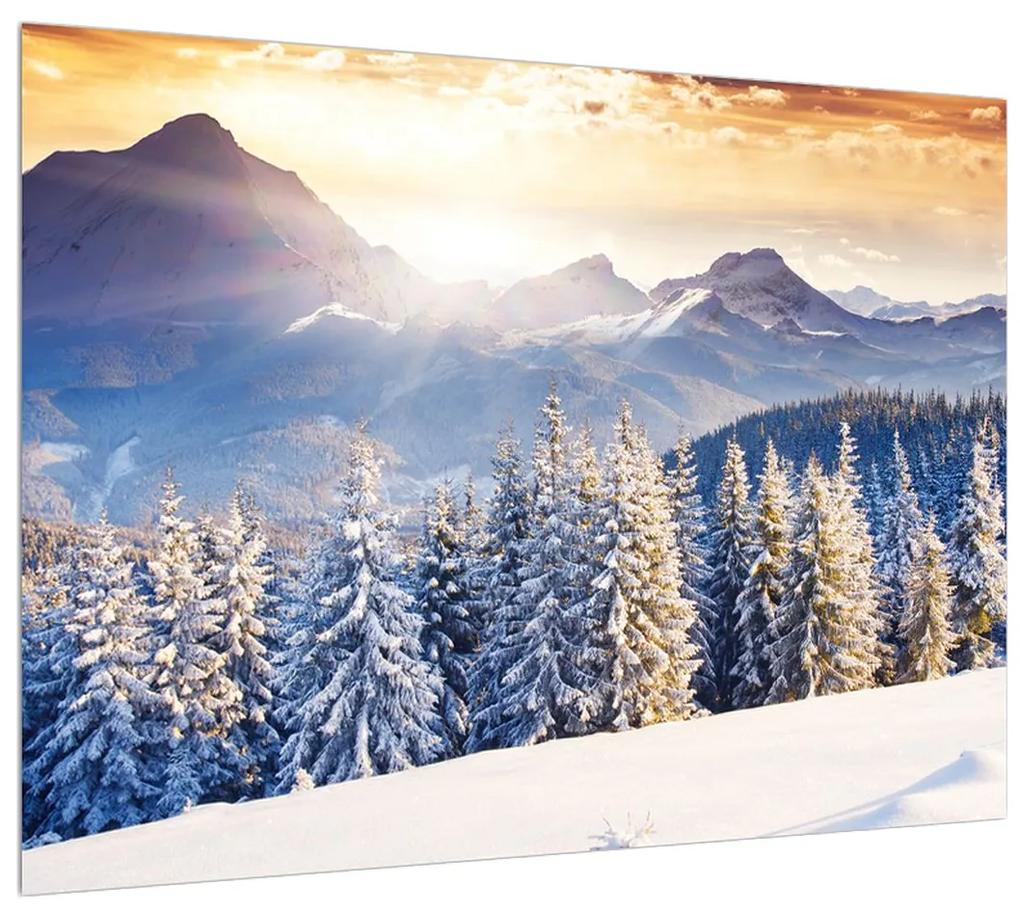 Zimný obraz lesnej horskej krajiny (K011331K7050)
