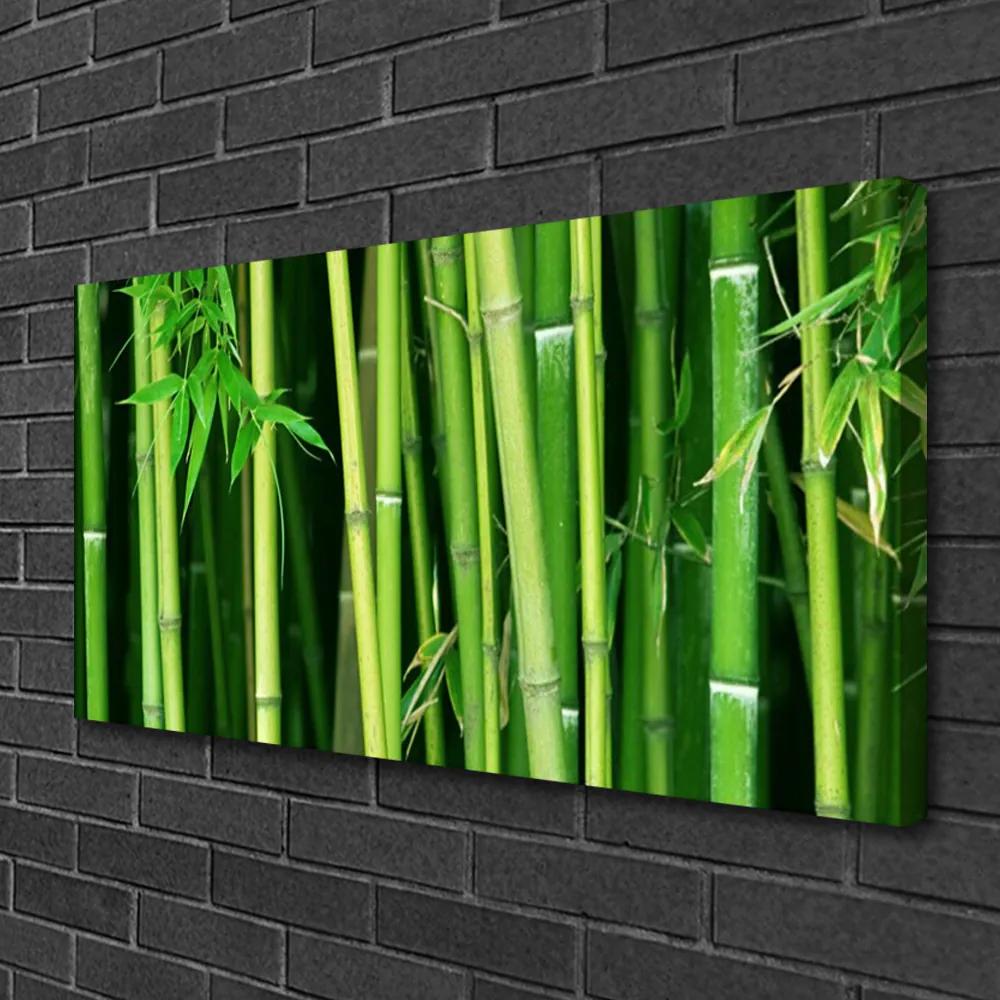 Obraz Canvas Bambusový les bambus príroda 125x50 cm