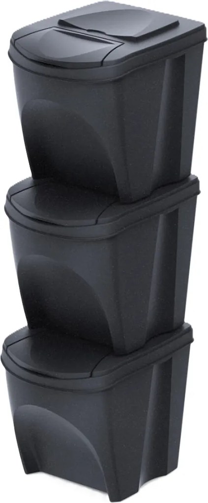 PROSPERPLAST Odpadkový kôš SORTIBOX ECO WOOD antracit, 3x25 l
