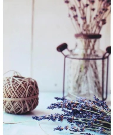 Obraz tlačený na plátne 40x50 PRC298