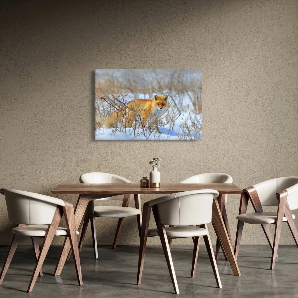Obraz - Lišiak (90x60 cm)