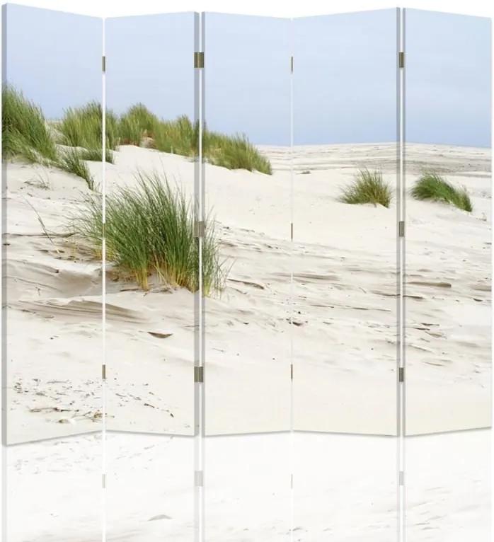 CARO Paraván - Dunes | päťdielny | obojstranný 180x150 cm