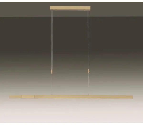 Paul Neuhaus 2568-60 - LED Stmievateľný luster na lanku ADRIANA LED/14W/230V mosadz