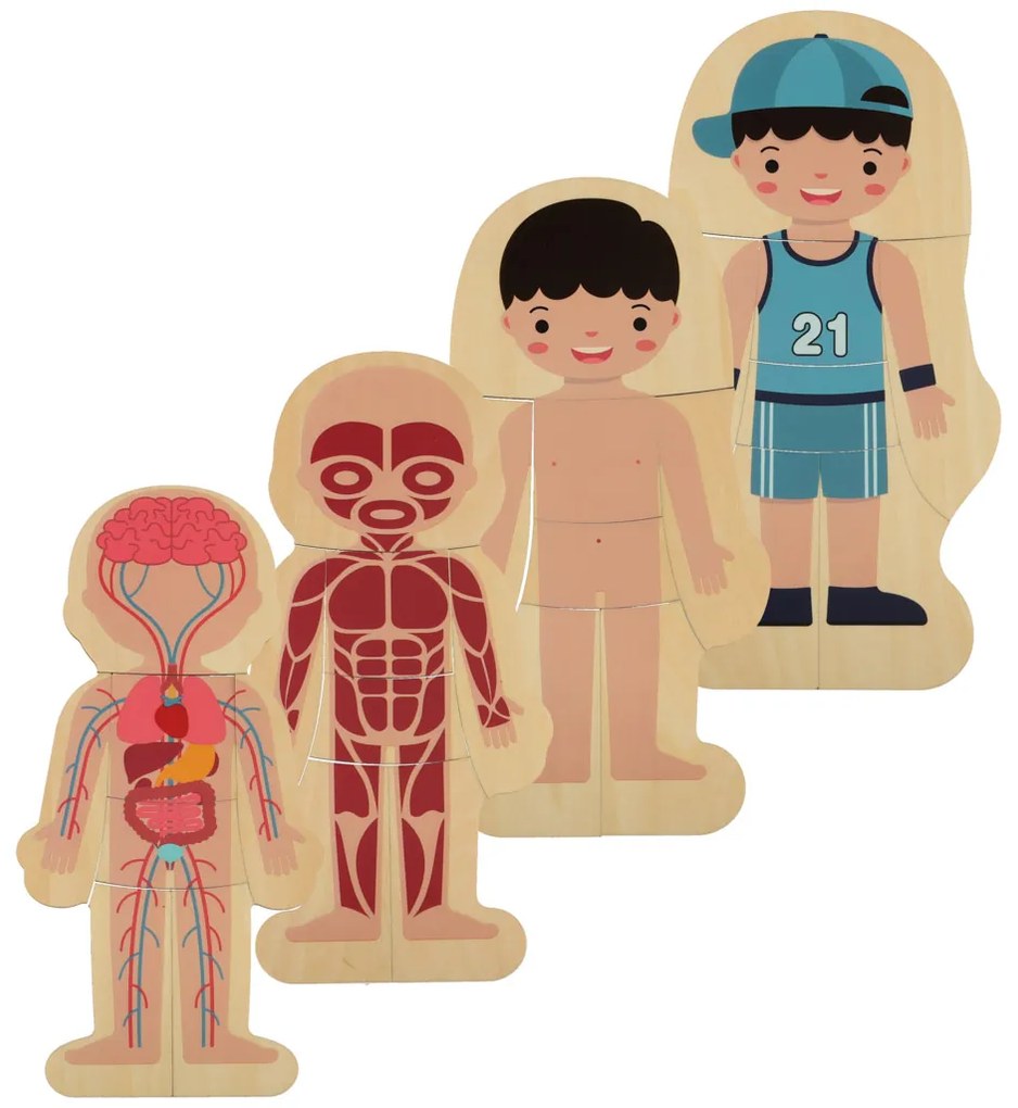 KIK Drevené vrstvené puzzle Montessori – Ľudské telo (anatómia), vzdelávacie 28 dielikov