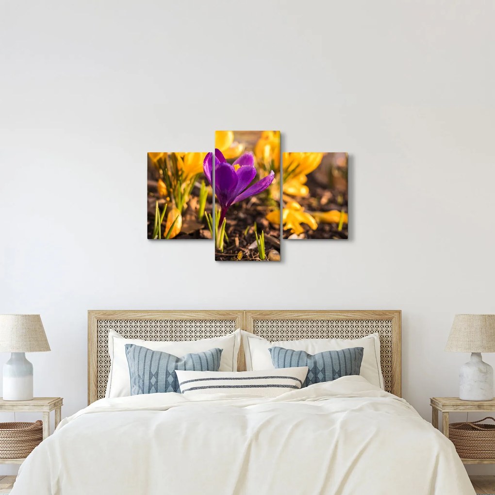 Obraz fialovej kvetiny (90x60 cm)