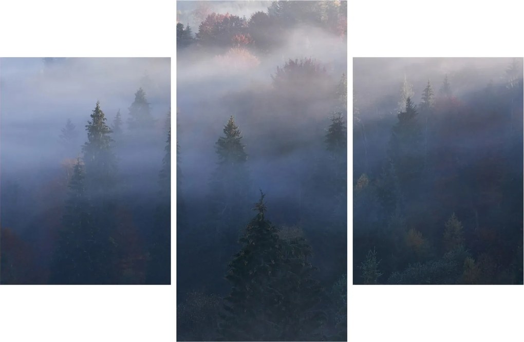 Obraz - Les v hmle, Karpaty, Ukrajina (90x60 cm)