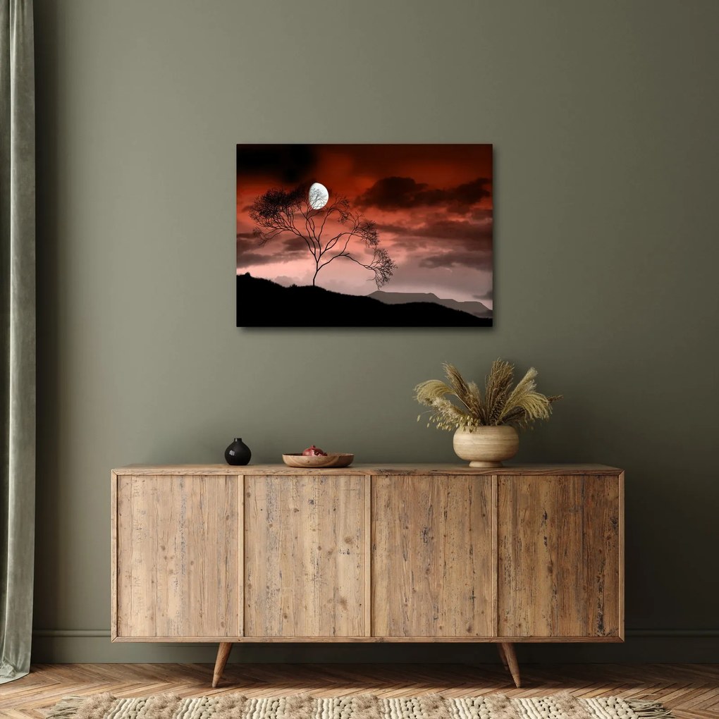 Obraz - Mesiac osvetľujúce noc (70x50 cm)