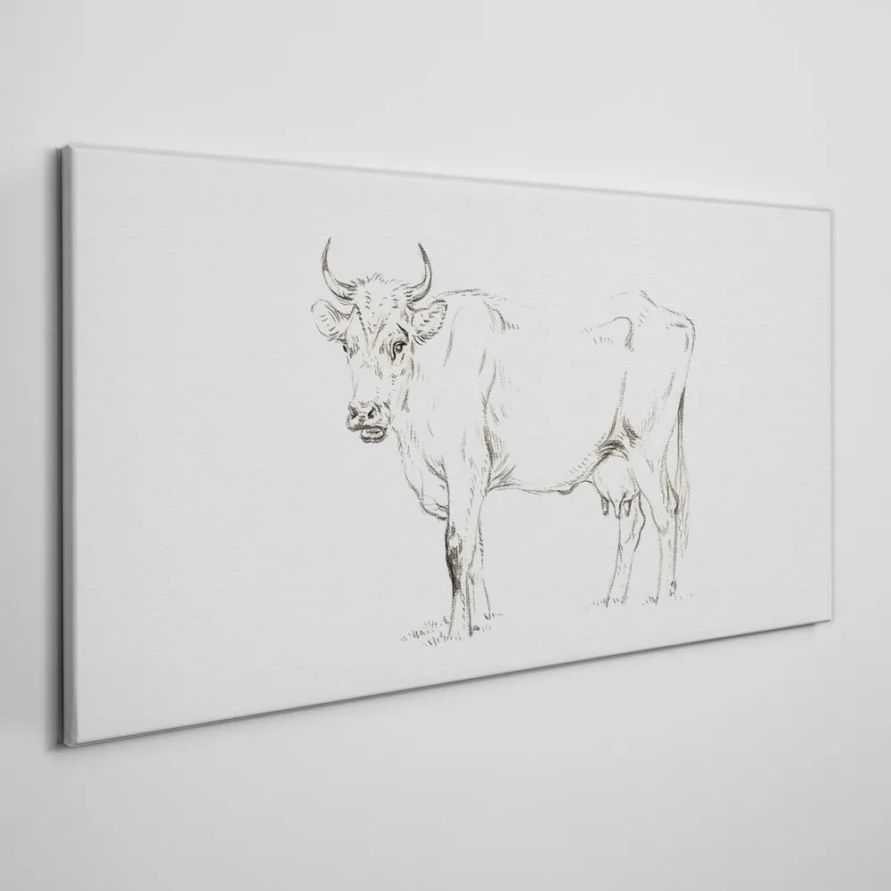 Obraz na plátne Kreslenie kravy zvierat