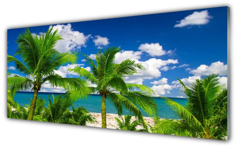 Obraz plexi More palma stromy príroda 125x50 cm