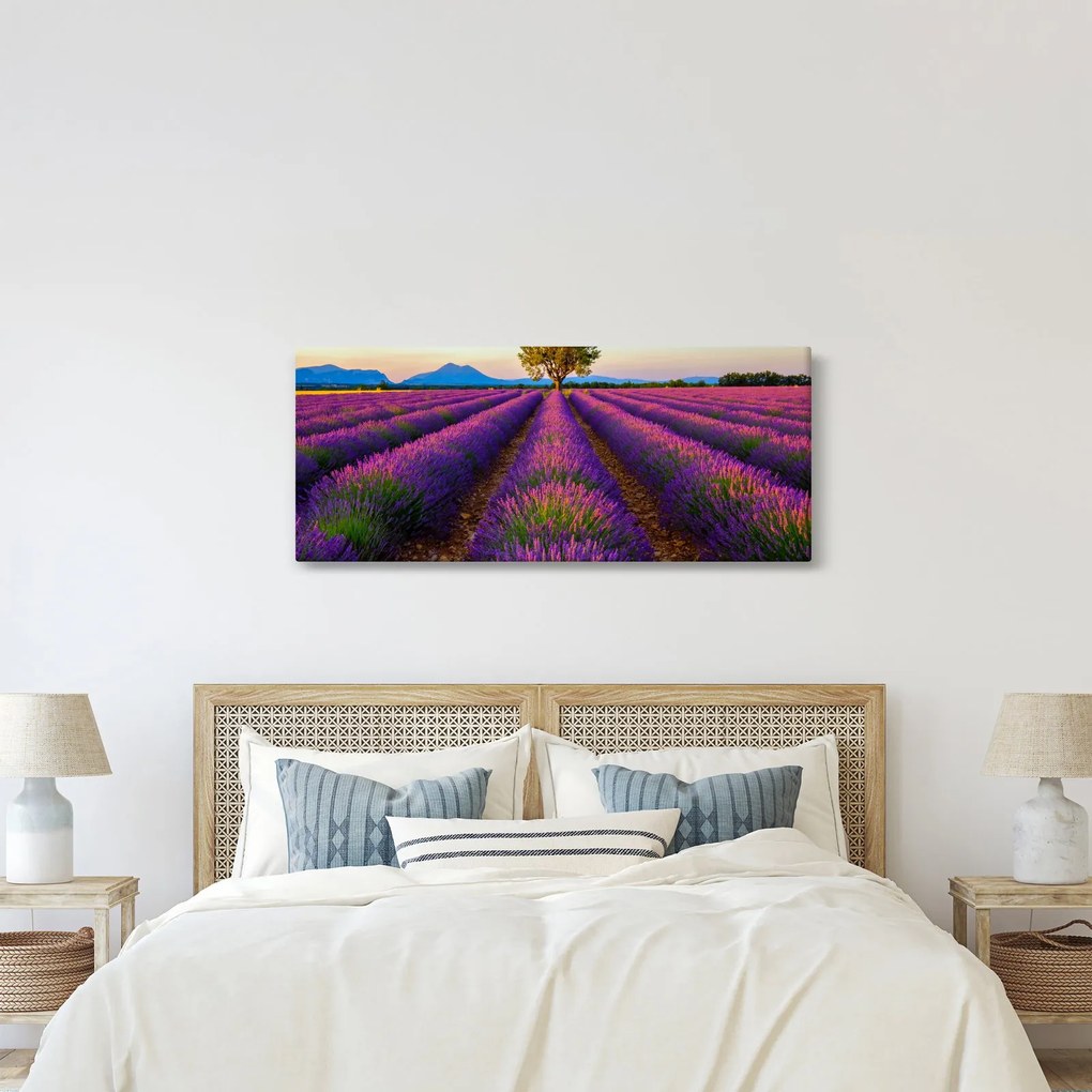 Obraz - Levanduľové pole (120x50 cm)
