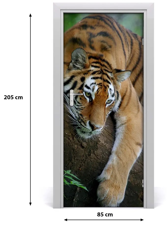 Samolepiace fototapety na dvere tiger na strome 85x205 cm