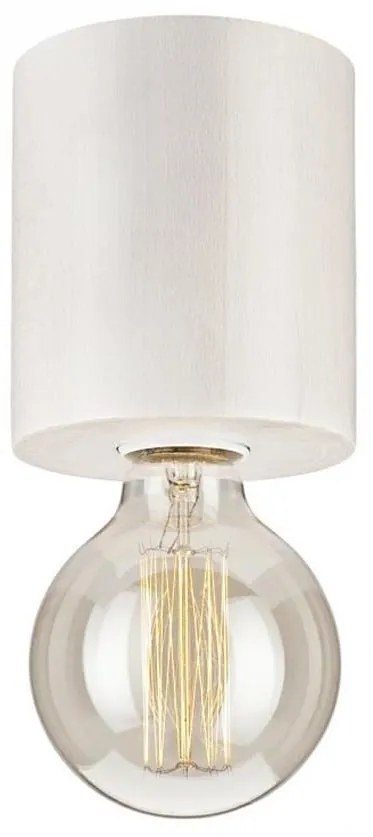 Stropné svietidlo 1xE27/60W/230V