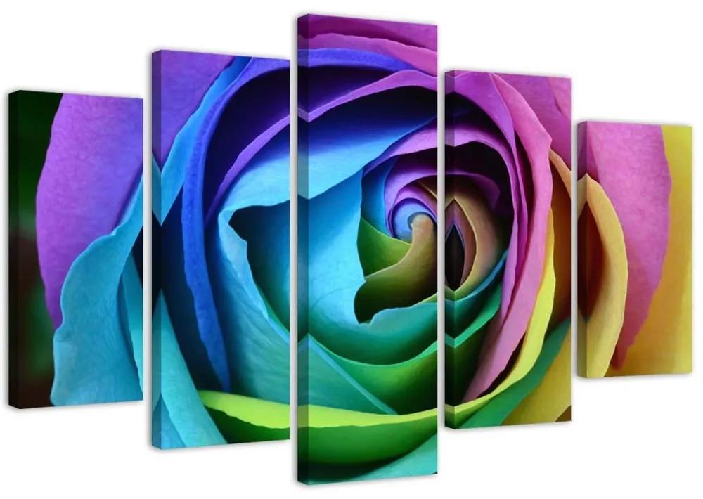 Obraz na plátně pětidílný Růže Květina Barevné - 200x100 cm