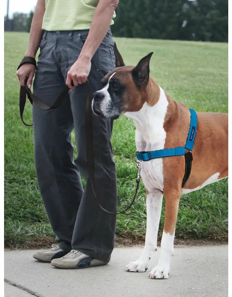 PetSafe Postroj EasyWalk Deluxe modrý veľkosť S