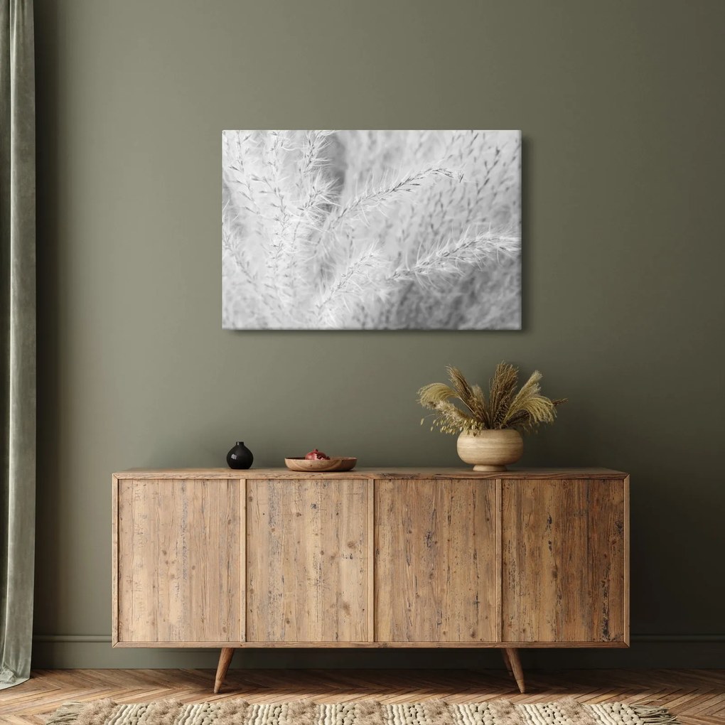 Obraz - Pampas grass N⁰1 (90x60 cm)