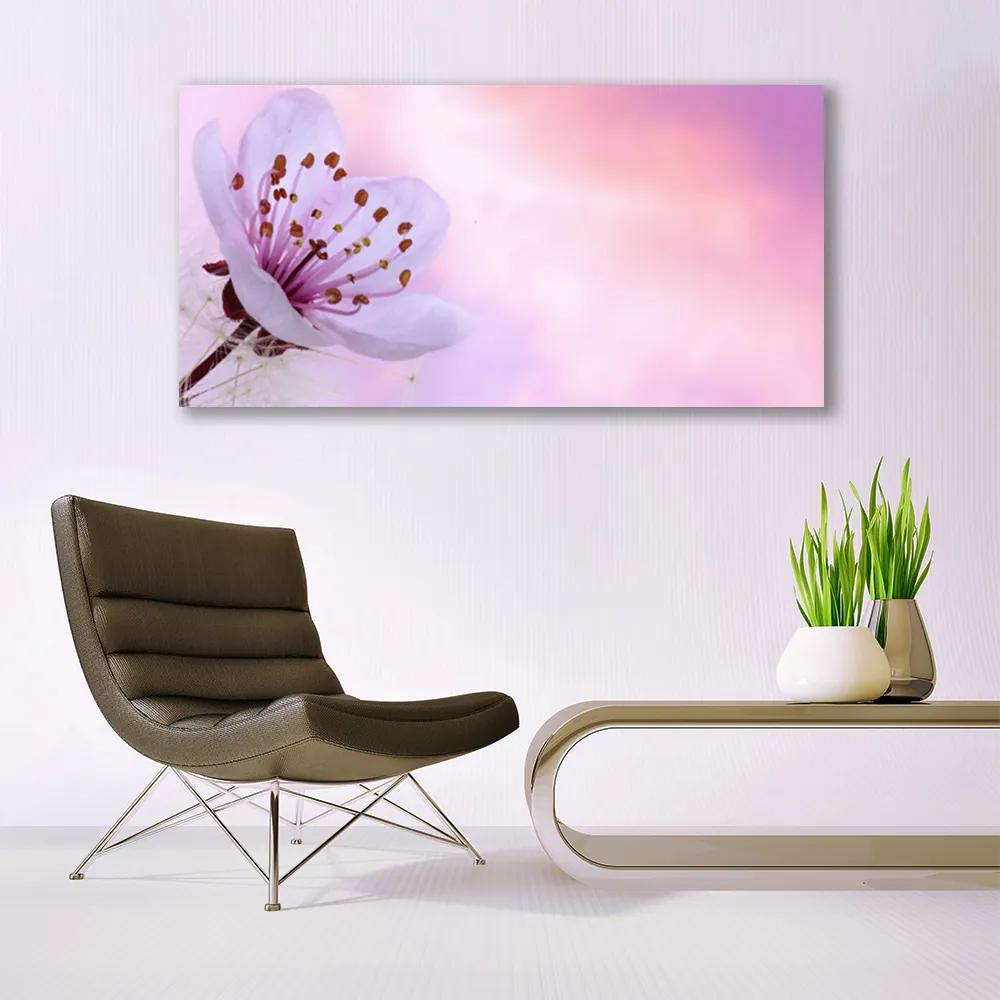 Obraz na akrylátovom skle Kvet rastlina príroda 120x60 cm