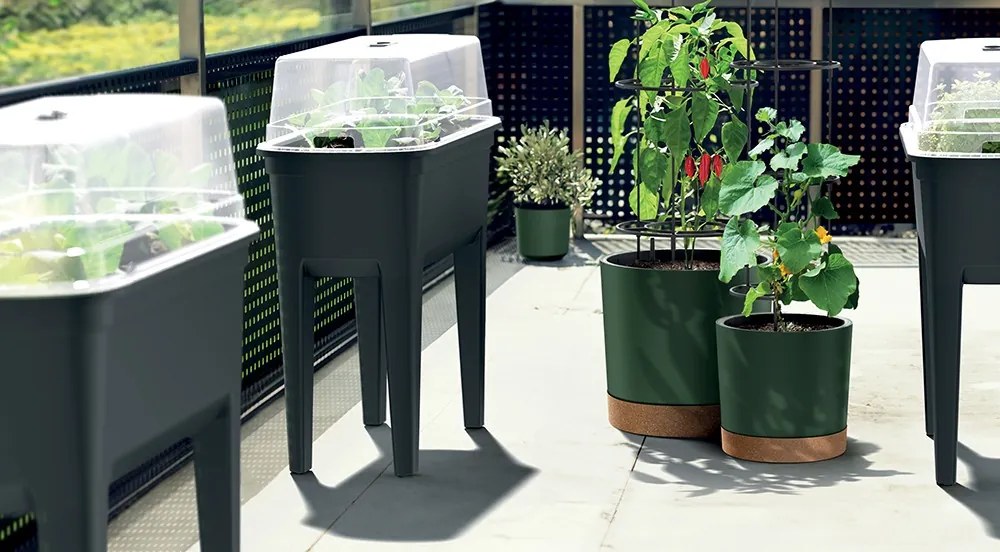 Kvetináč na pestovanie rajčín HOME GROWERO antracit