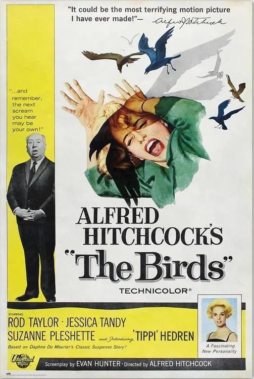 Plagát, Obraz - Alfred Hitchcock - The Birds, (61 x 91.5 cm)