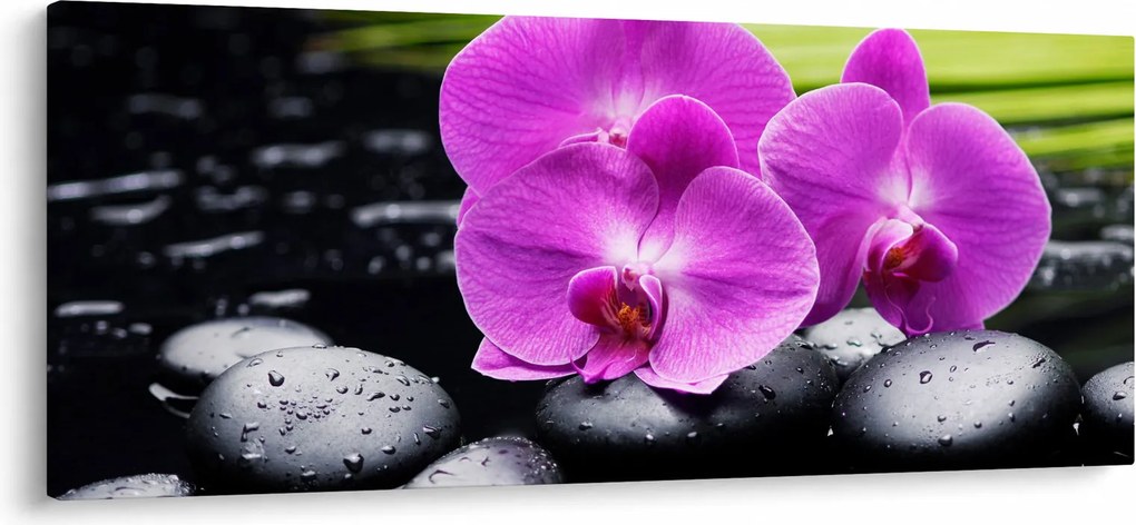 Obraz - Orchidey (120x50 cm)