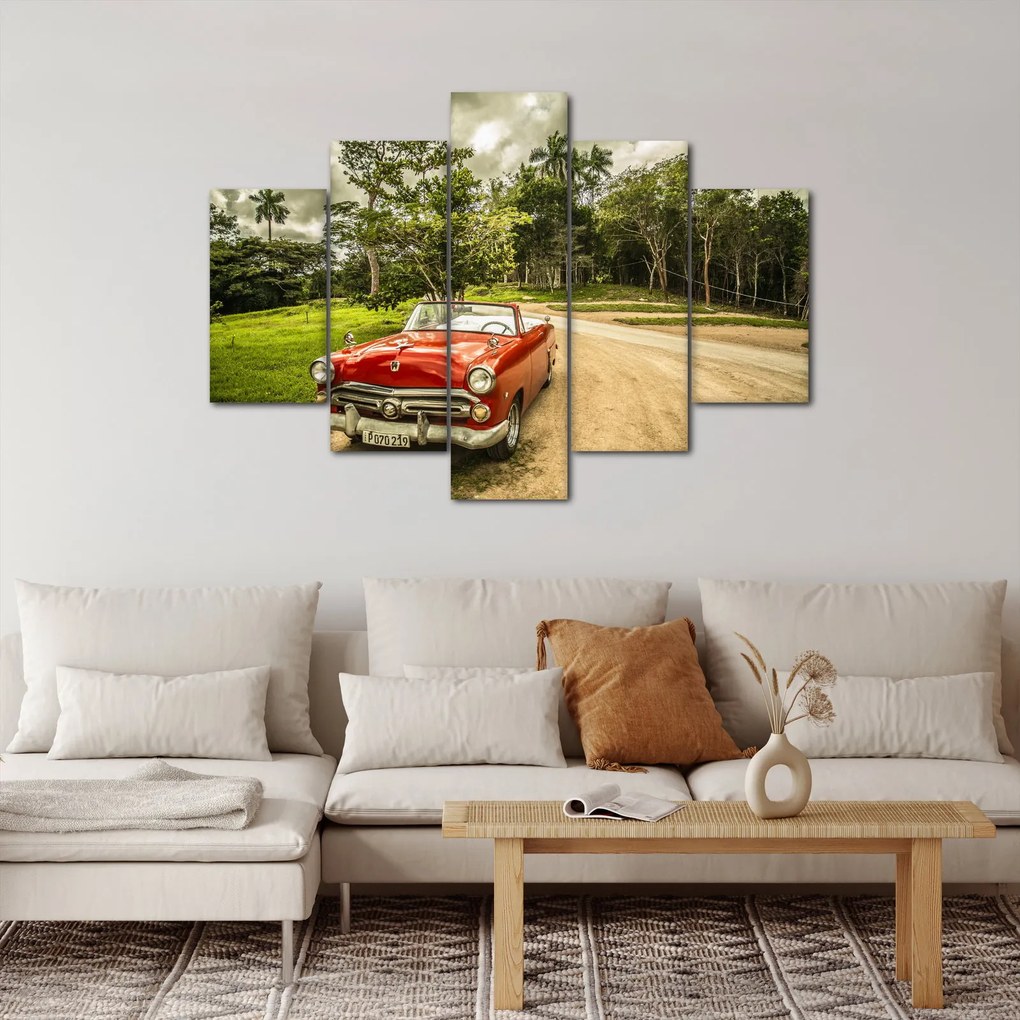 Obraz - auto veterán v prírode (150x105 cm)