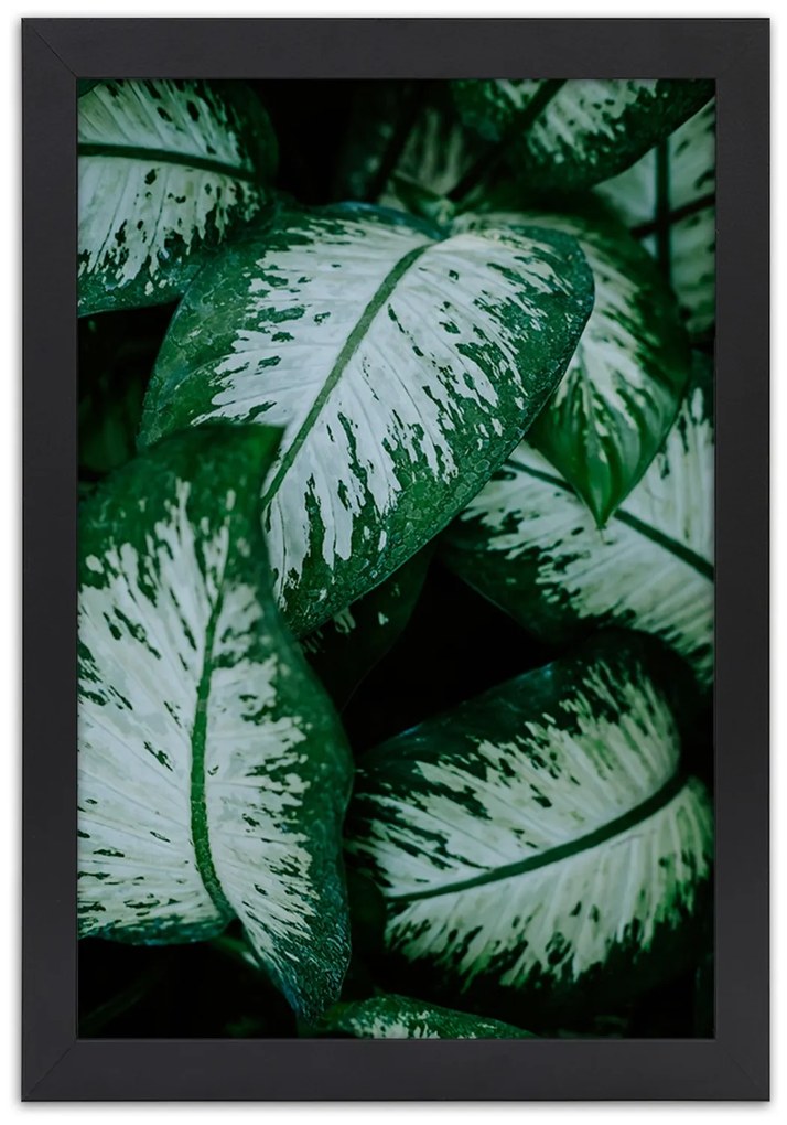Gario Plagát Zelené tropické rastliny Farba rámu: Bez rámu, Rozmery: 40 x 60 cm