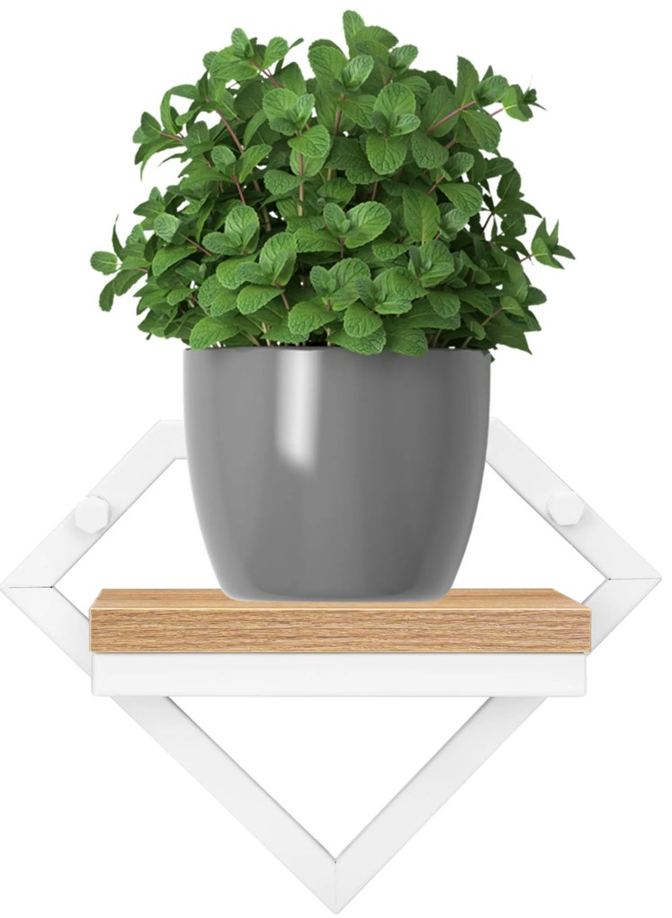 Nástenný kvetinový stojan DORON biely/dub remeselný