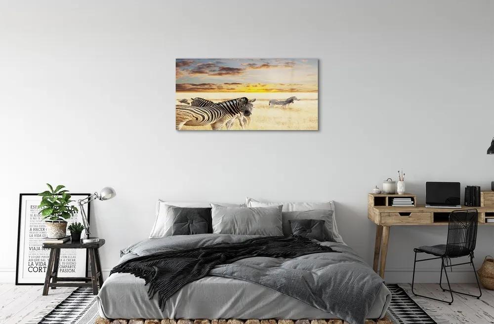 Sklenený obraz Zebry poľa sunset 100x50 cm