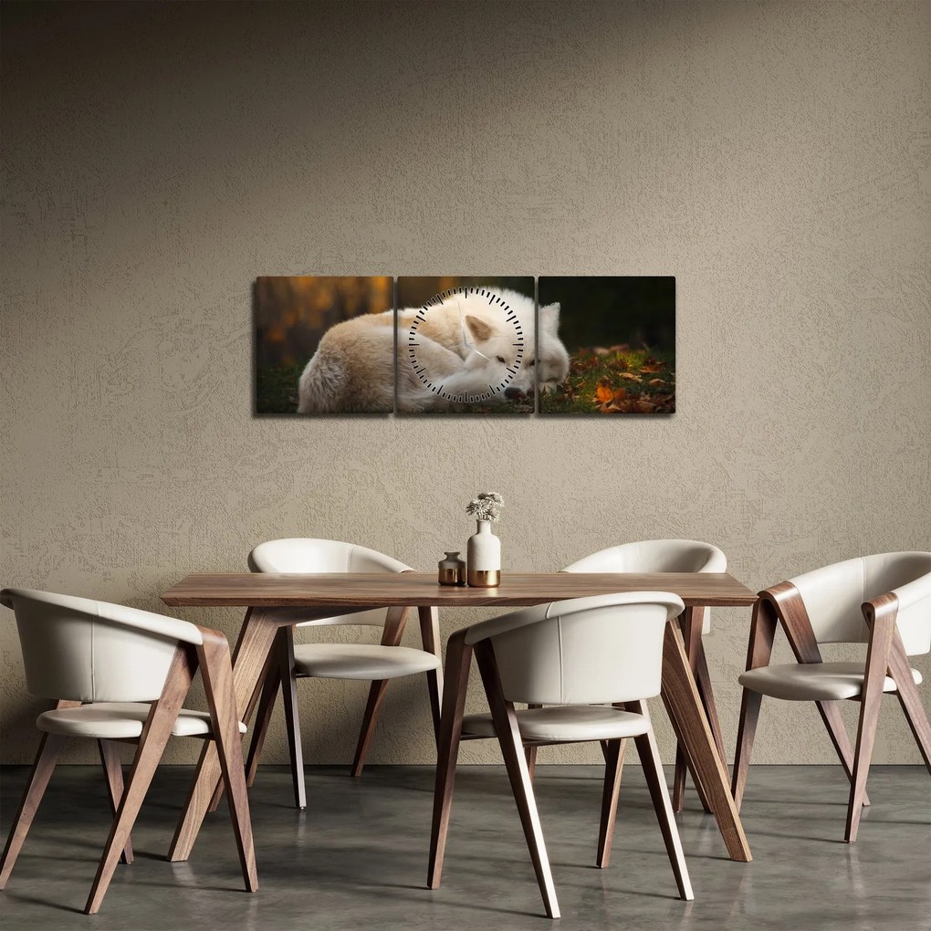 Obraz - Odpočívajúci vlk (s hodinami) (90x30 cm)