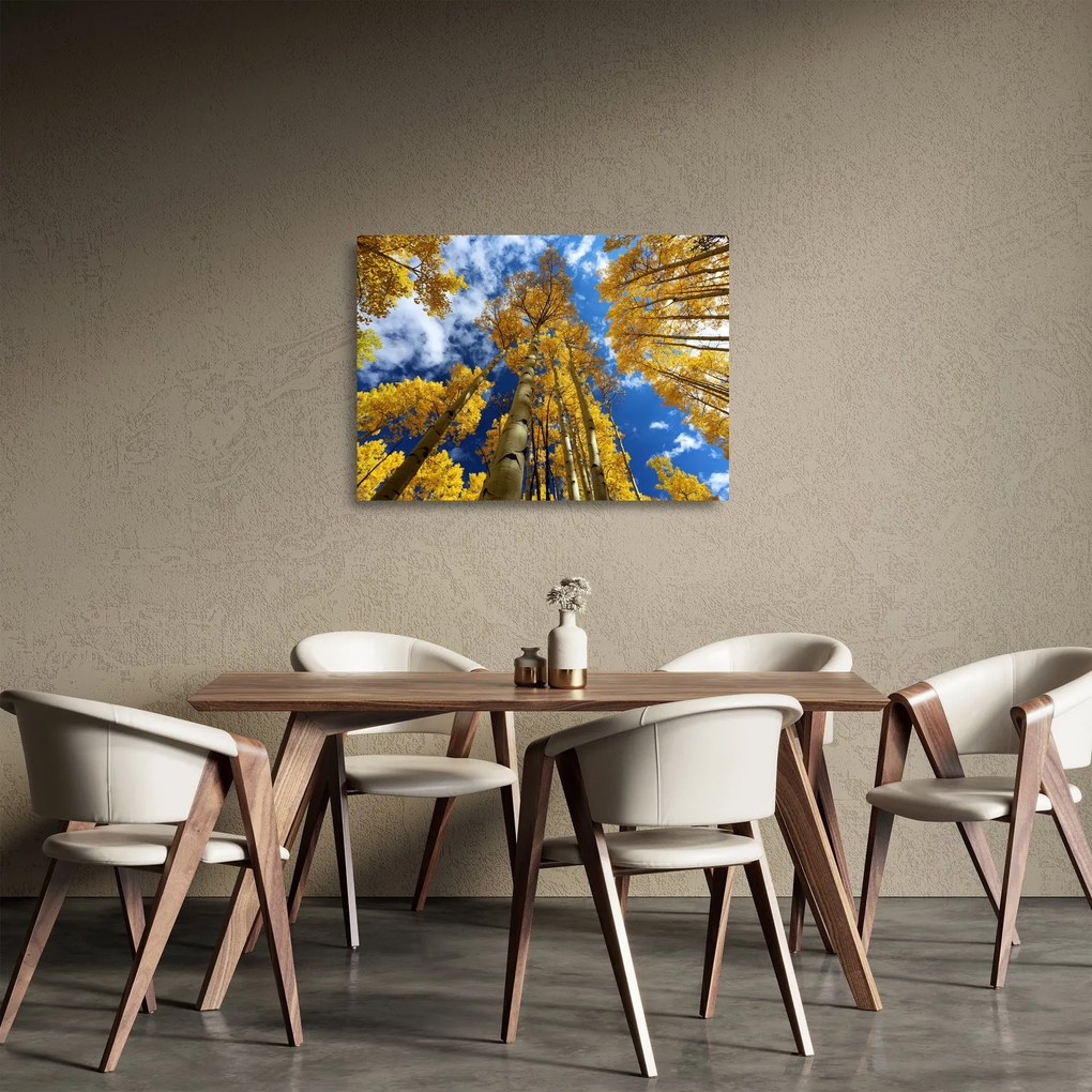 Sklenený obraz - Aspen (70x50 cm)