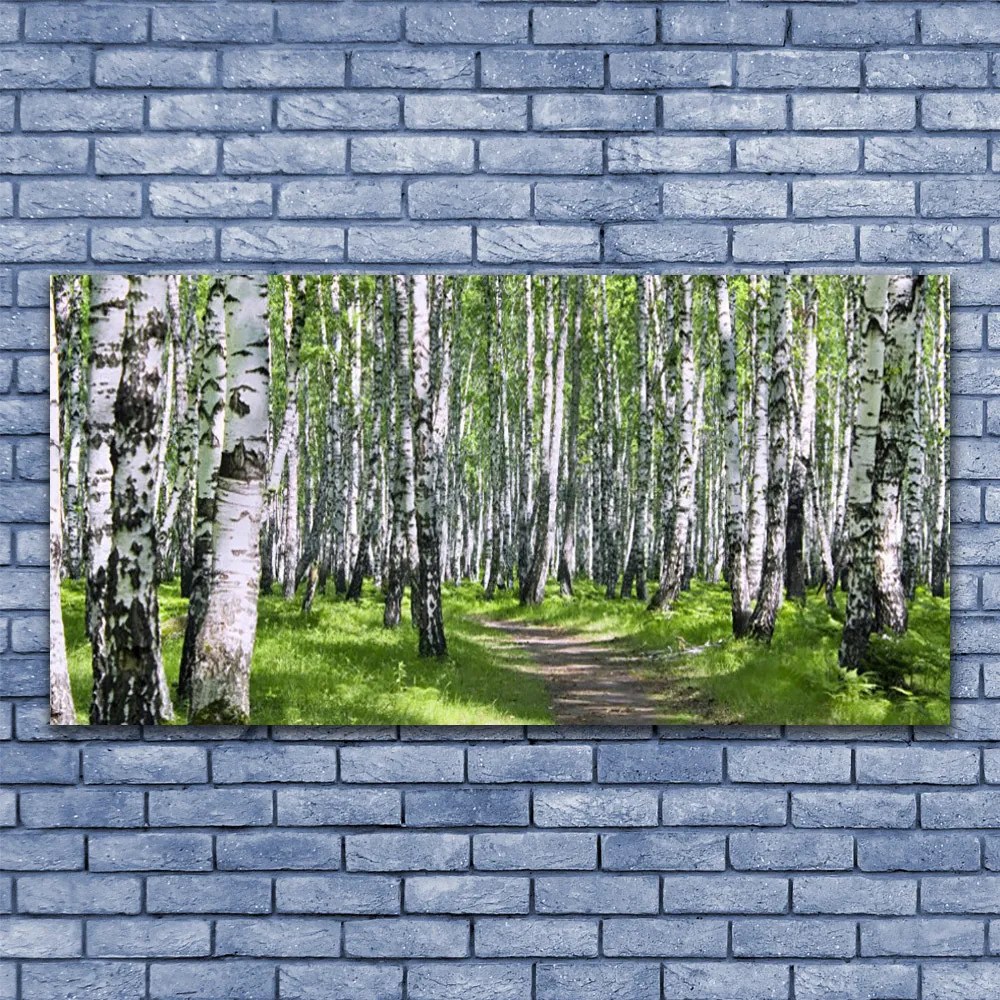 Obraz na akrylátovom skle Les chodník príroda 120x60 cm
