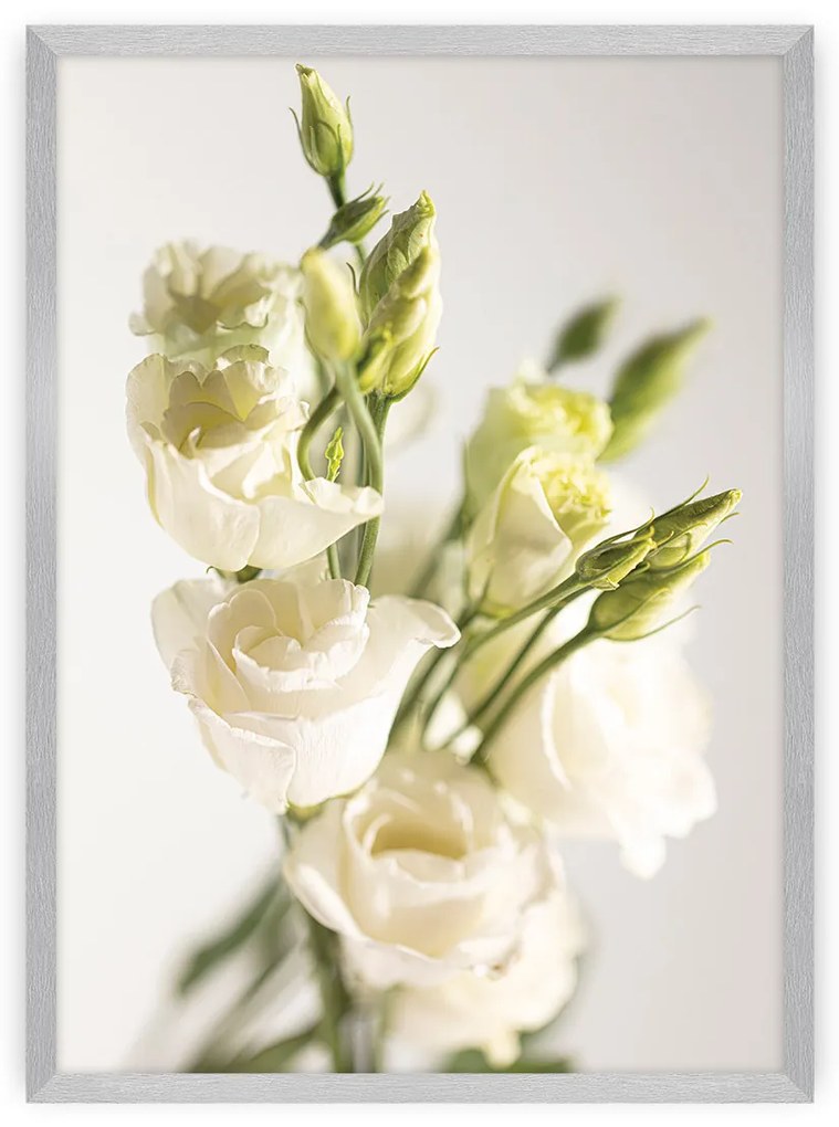Plagát Elegant Flowers