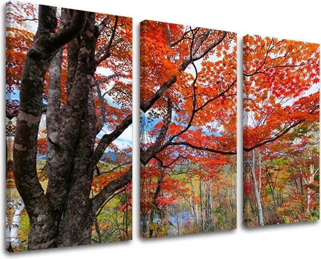 Obraz na stenu 3 dielny STROMY ST012E30