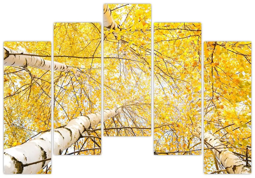 Jesenné lístie - moderný obraz