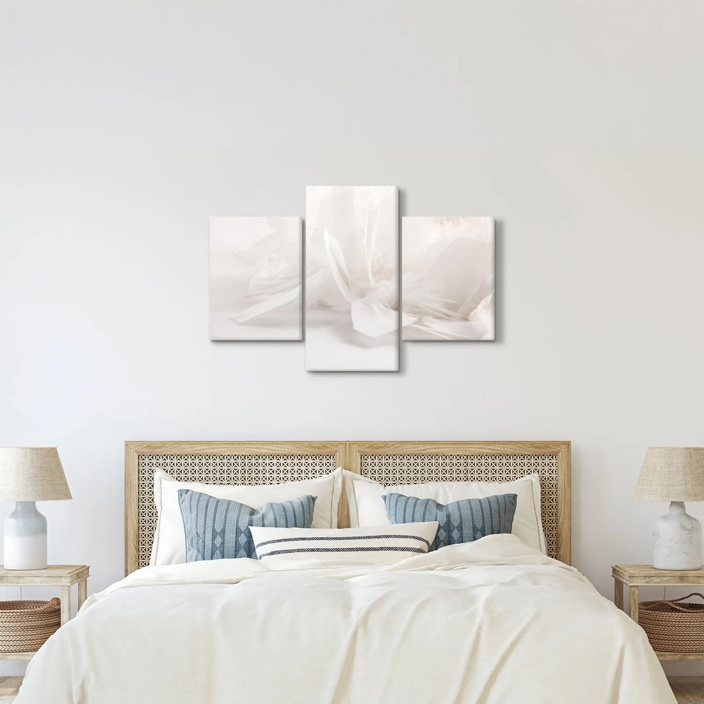 Obraz - Perie (90x60 cm)