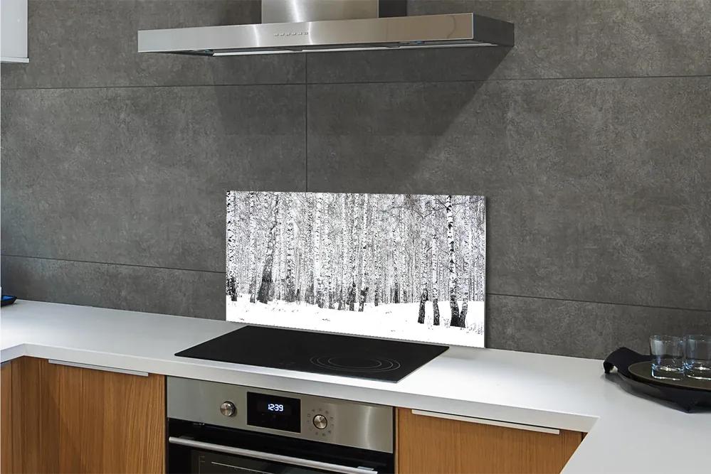 Nástenný panel  zimný brezy 100x50 cm