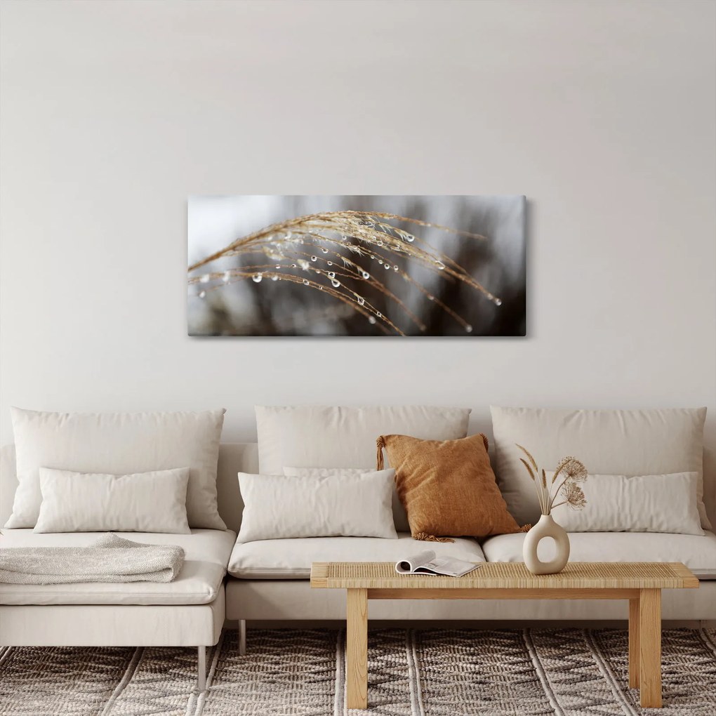 Obraz kvapiek na rastline (120x50 cm)