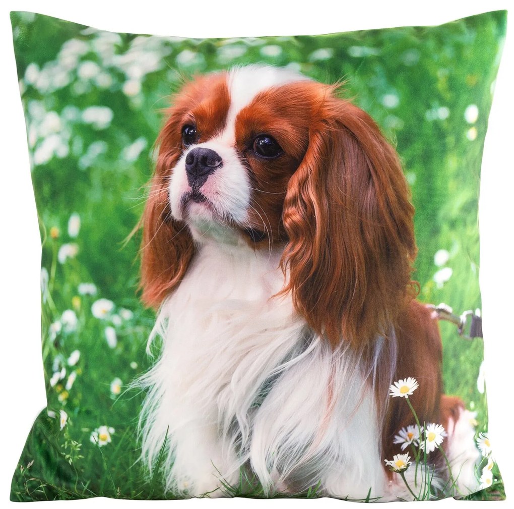 DETSKÁ DEKORAČNÁ OBLIEČKA NA VANKÚŠ ANIMAL74 45X45 CM VZOROVANÁ