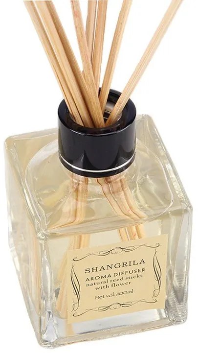 Aroma difuzér Elegant 100ml AP: Zelený bambus