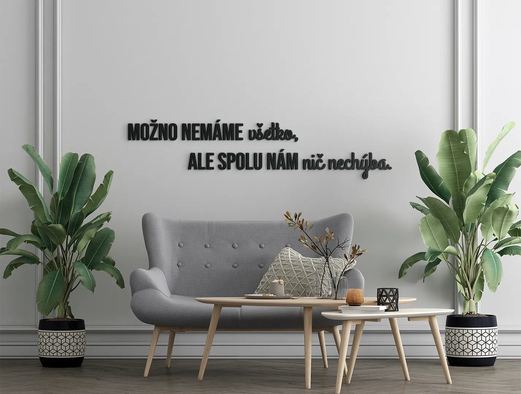 drevko Citát na stenu Možno nemáme všetko Rozmer obrazu: 19,5 x 86,5 cm, Farba dekorácie: Čierna